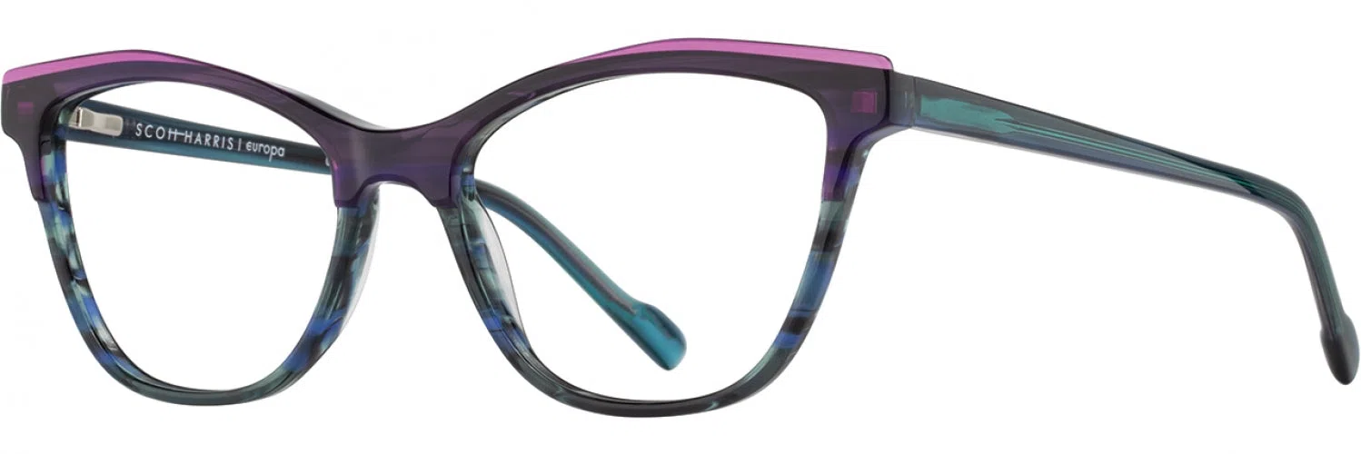 Scott Harris SH888 Eyeglasses - view 6
